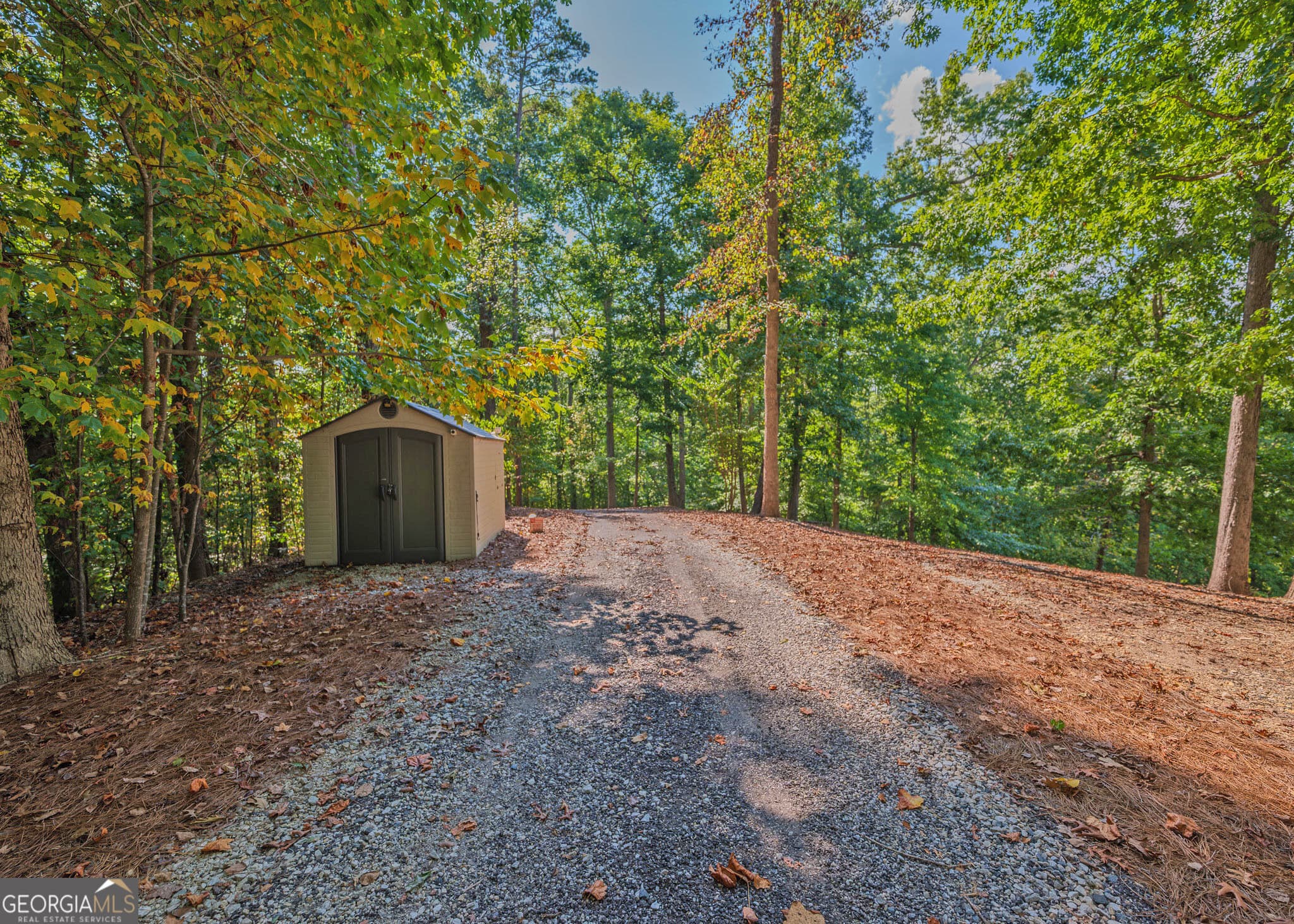 residential lot for sale at 279 Mavericks Run, Martin, GA 30557 — photo 5
