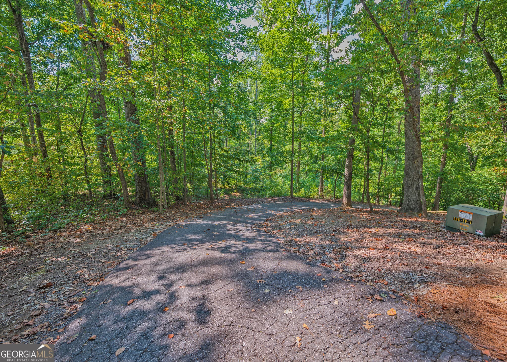 residential lot for sale at 279 Mavericks Run, Martin, GA 30557 — photo 4