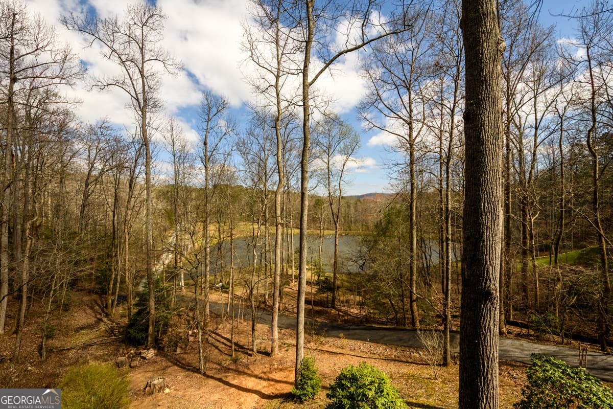 3 bedroom, 3.5 bathroom, 2,880 sq ft cabin,single family residence for sale at 91 Whispering Lake Way, Blue Ridge, GA 30513 — photo 9