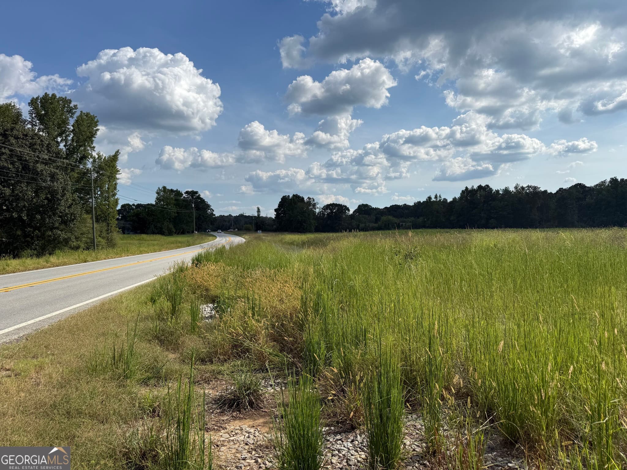 unimproved land for sale at 0 Hwy 113, Temple, GA 30179 — photo 2