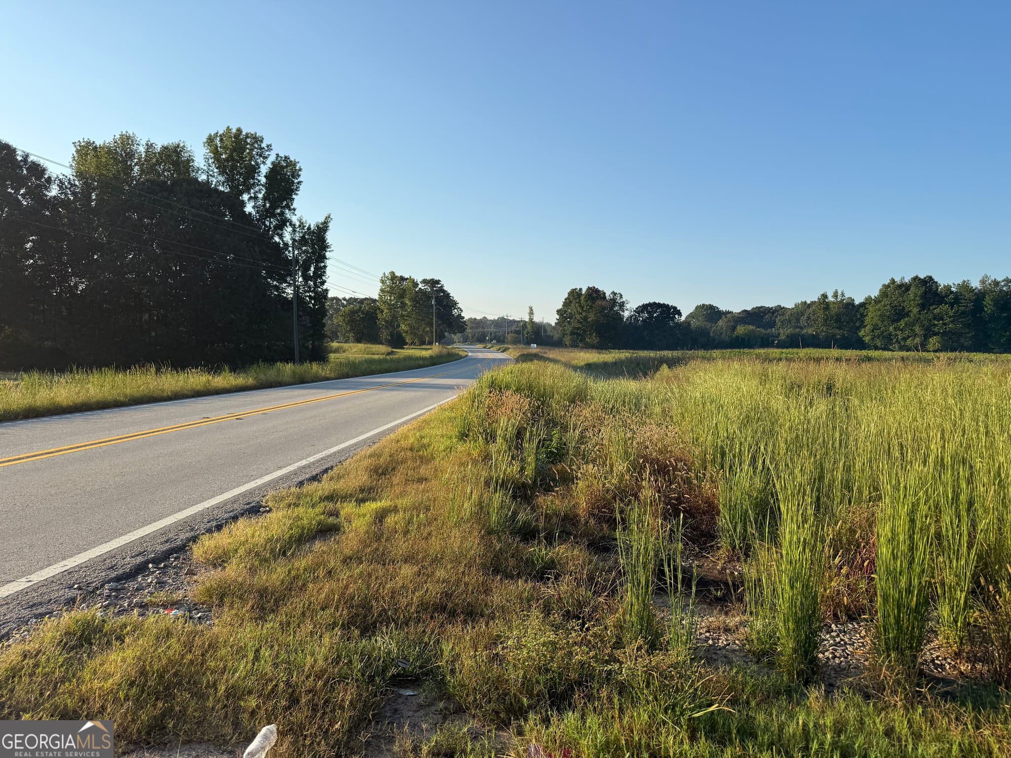 unimproved land for sale at 0 Hwy 113, Temple, GA 30179 — photo 6