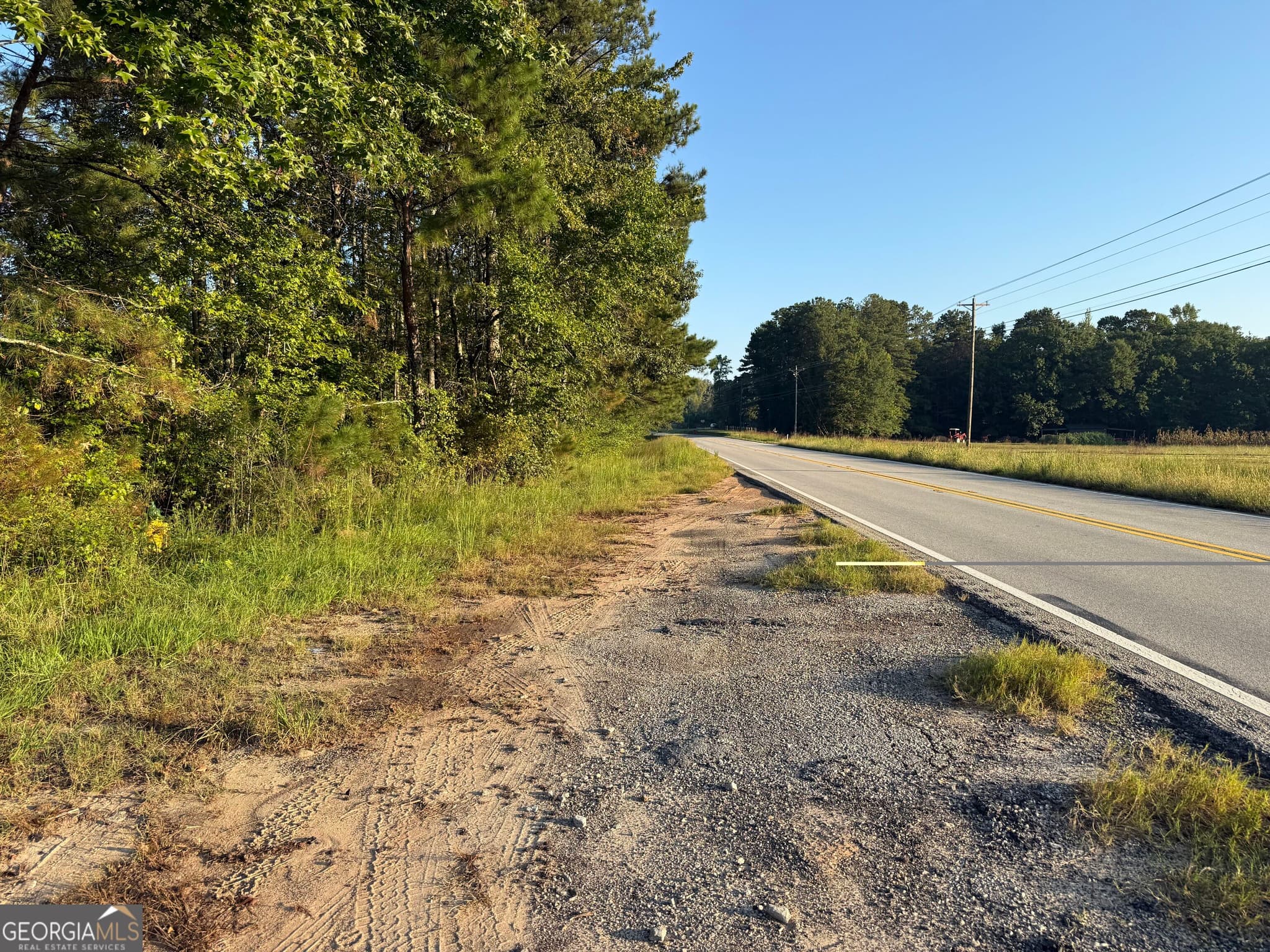 unimproved land for sale at 0 Hwy 113, Temple, GA 30179 — photo 7