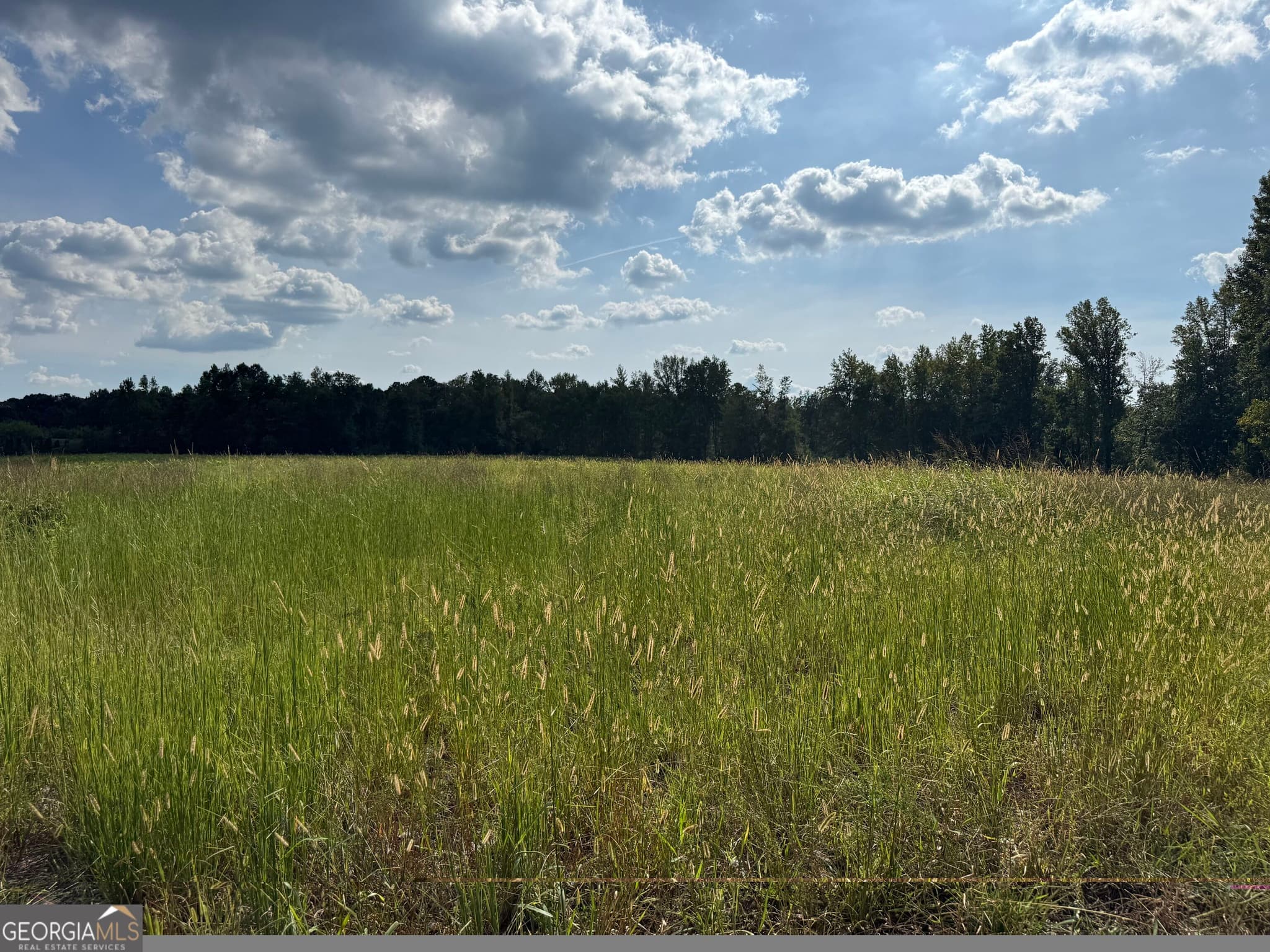 unimproved land for sale at 0 Hwy 113, Temple, GA 30179 — photo 1 of 7
