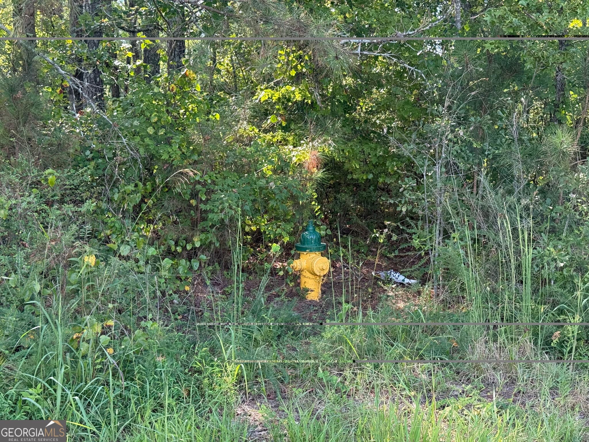 unimproved land for sale at 0 Hwy 113, Temple, GA 30179 — photo 5
