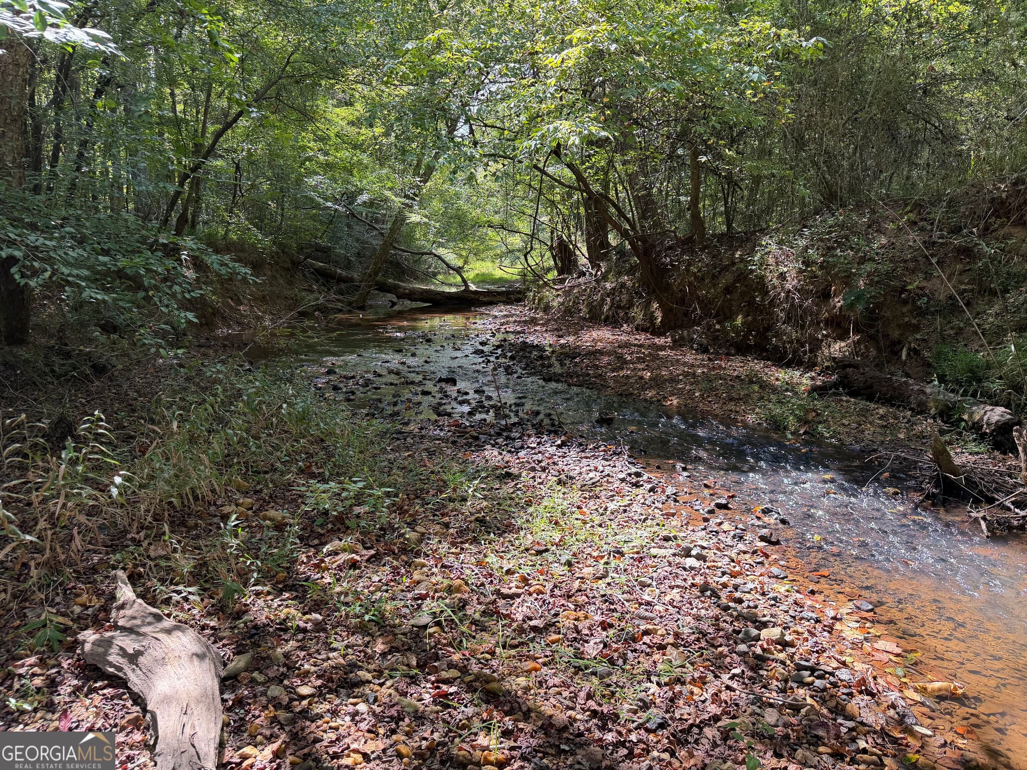agriculture under contract at 0 Old Tennessee Road 1, Franklin, GA 30217 — photo 2