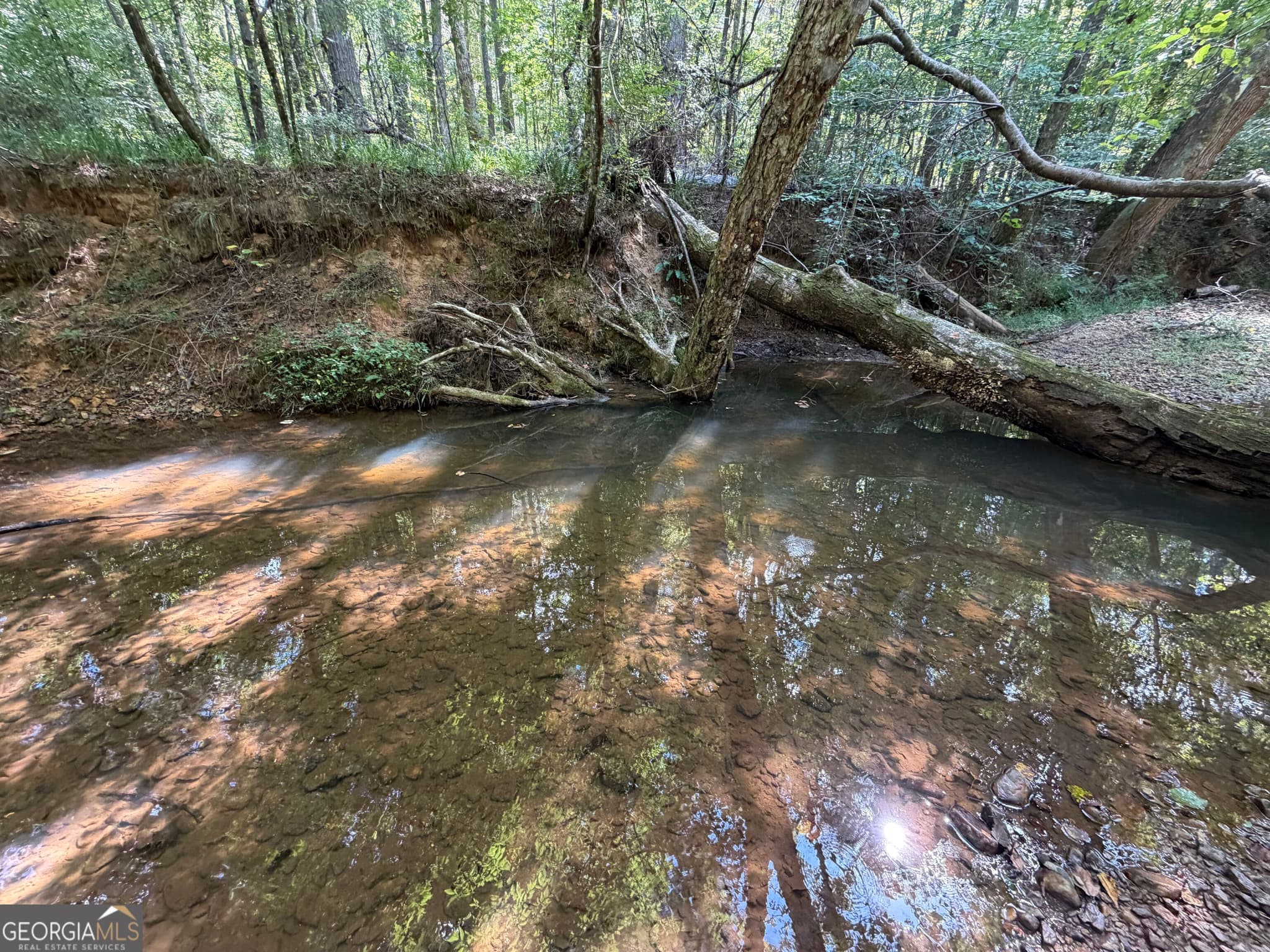 agriculture under contract at 0 Old Tennessee Road 1, Franklin, GA 30217 — photo 7