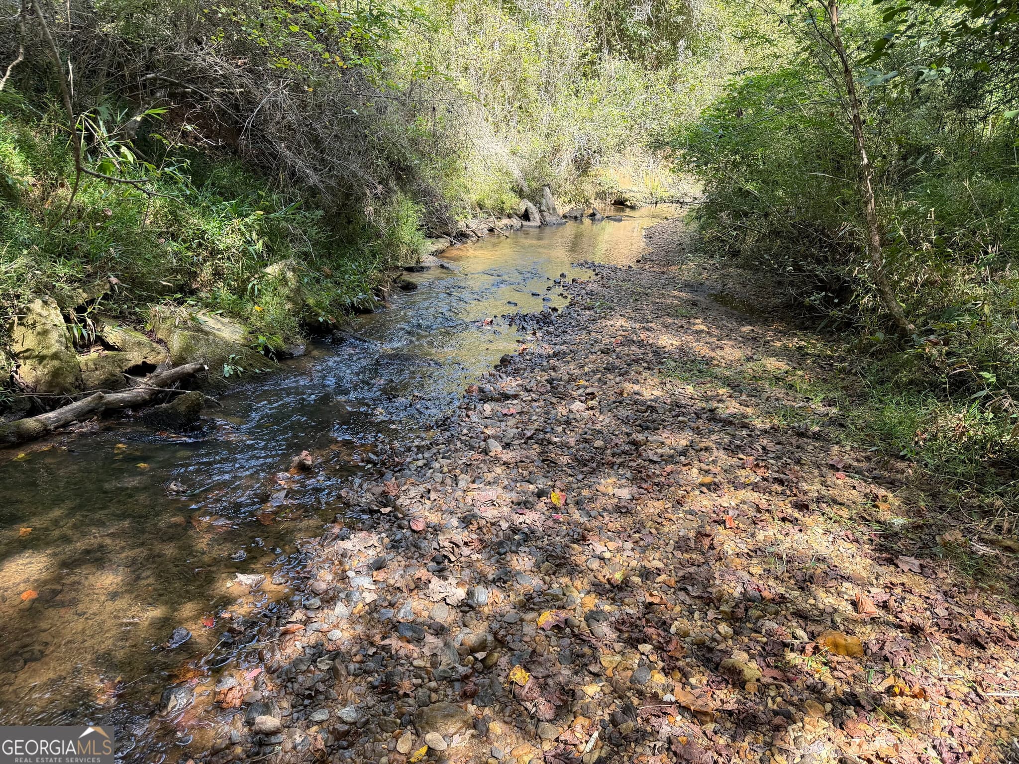 agriculture under contract at 0 Old Tennessee Road 1, Franklin, GA 30217 — photo 3