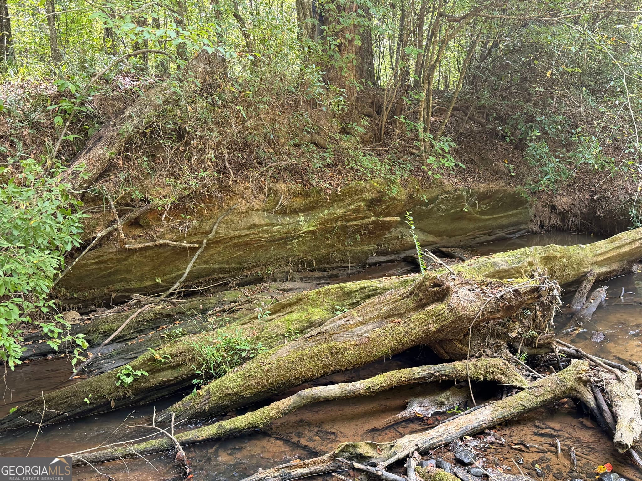 agriculture under contract at 0 Old Tennessee Road 1, Franklin, GA 30217 — photo 5