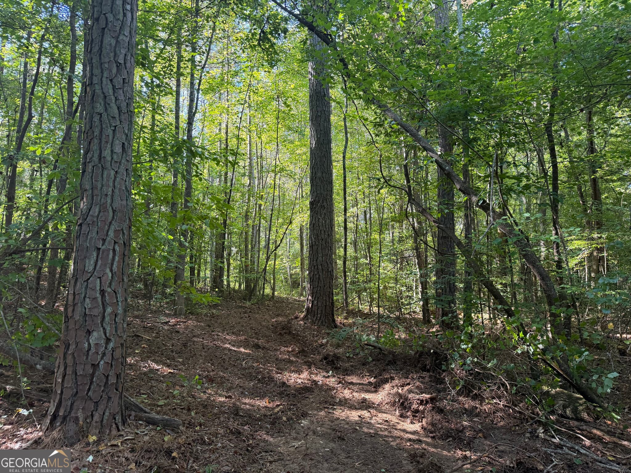 agriculture under contract at 0 Old Tennessee Road 1, Franklin, GA 30217 — photo 9