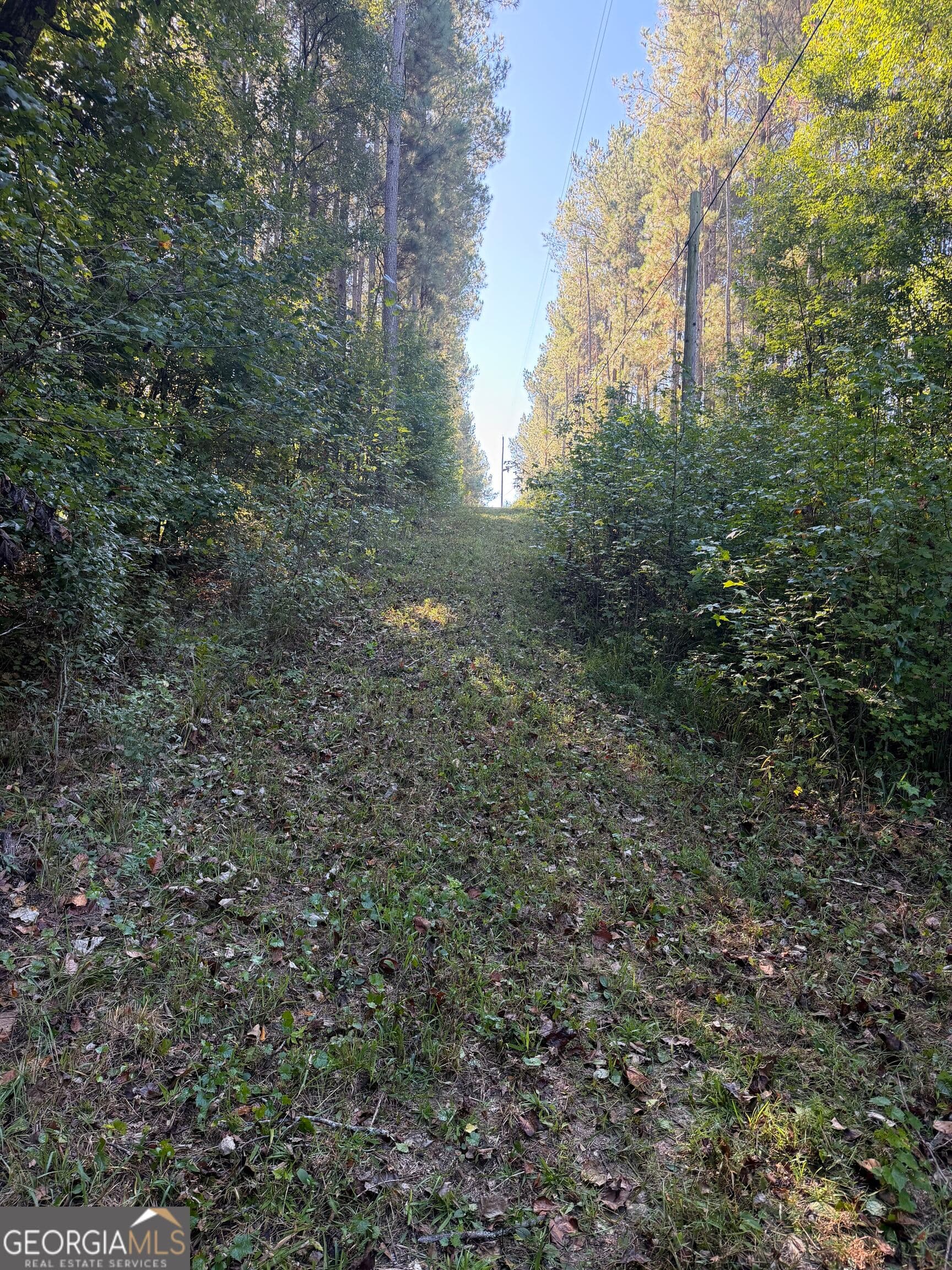 agriculture under contract at 0 Old Tennessee Road 1, Franklin, GA 30217 — photo 10