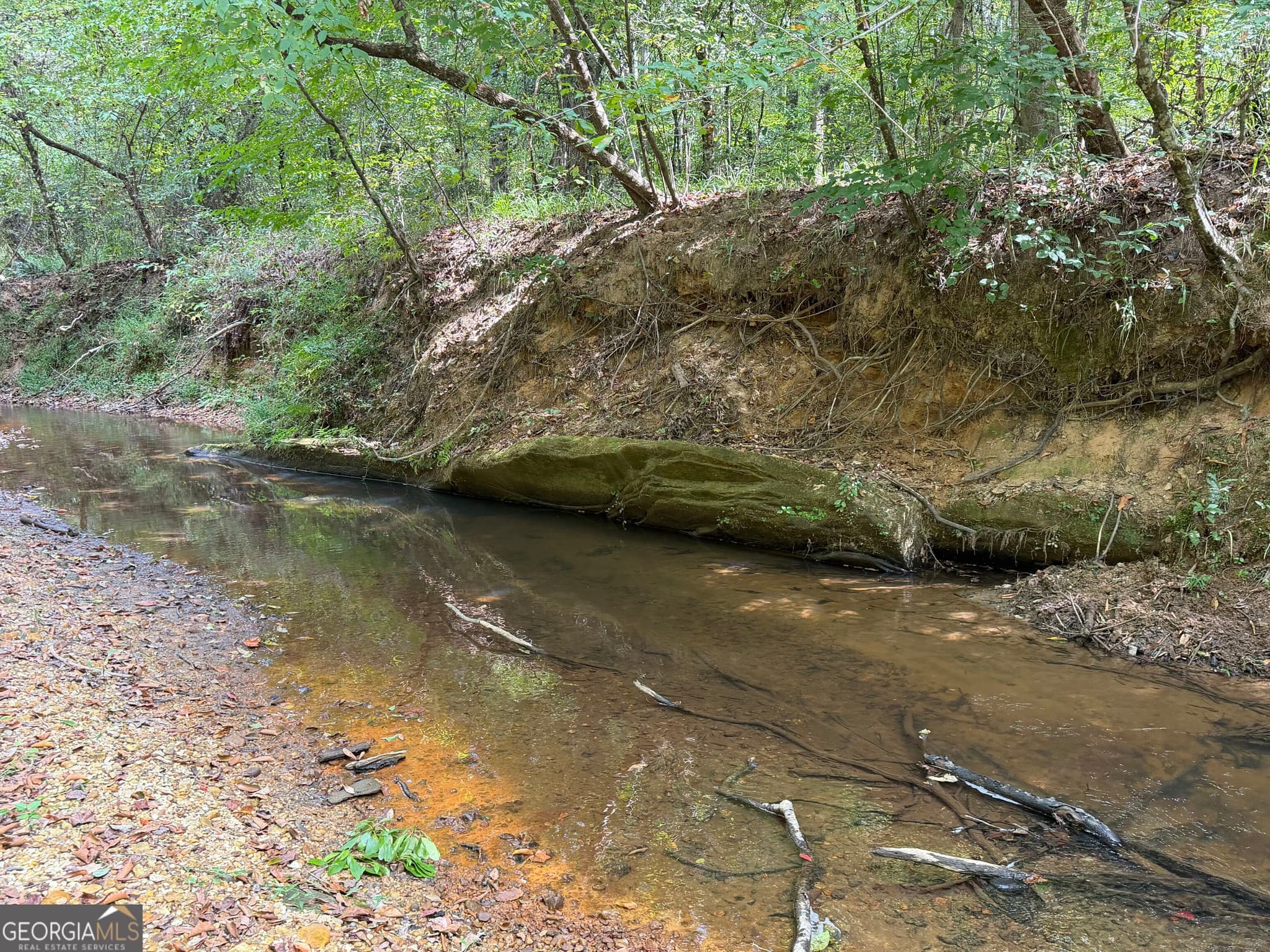 agriculture under contract at 0 Old Tennessee Road 1, Franklin, GA 30217 — photo 4