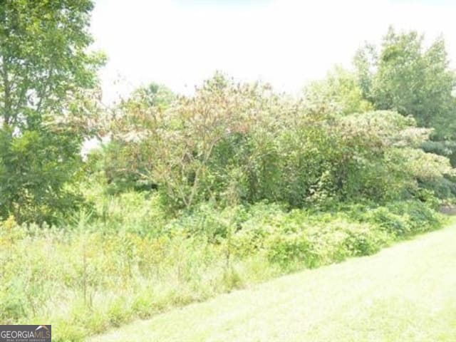 unimproved land for sale at 0 Gunn Road, Byron, GA 31008 — photo 2