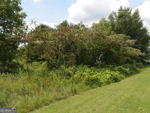 unimproved land for sale at 0 Gunn Road, Byron, GA 31008 — photo 6