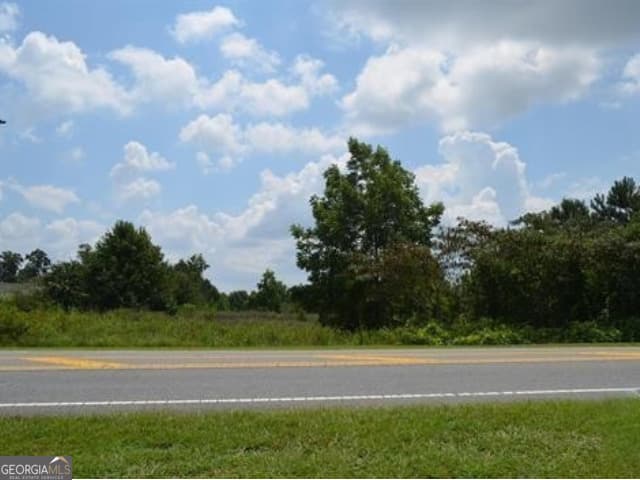 unimproved land for sale at 0 Gunn Road, Byron, GA 31008 — photo 5