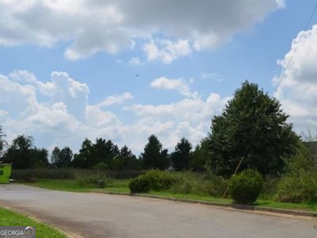 unimproved land for sale at 0 Gunn Road, Byron, GA 31008 — photo 9
