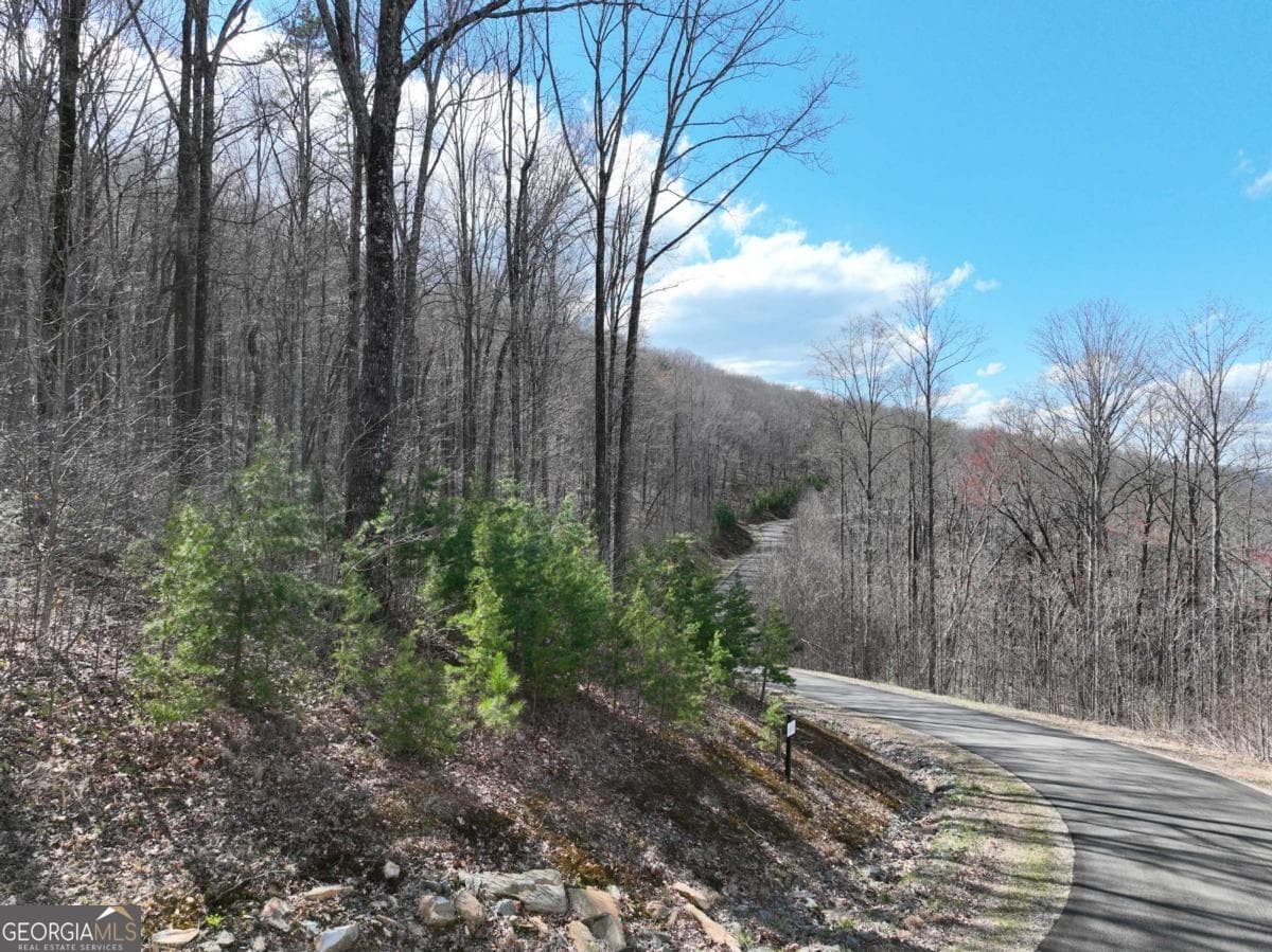 residential lot for sale at 270R Stone Cliff Drive, Ellijay, GA 30536 — photo 6