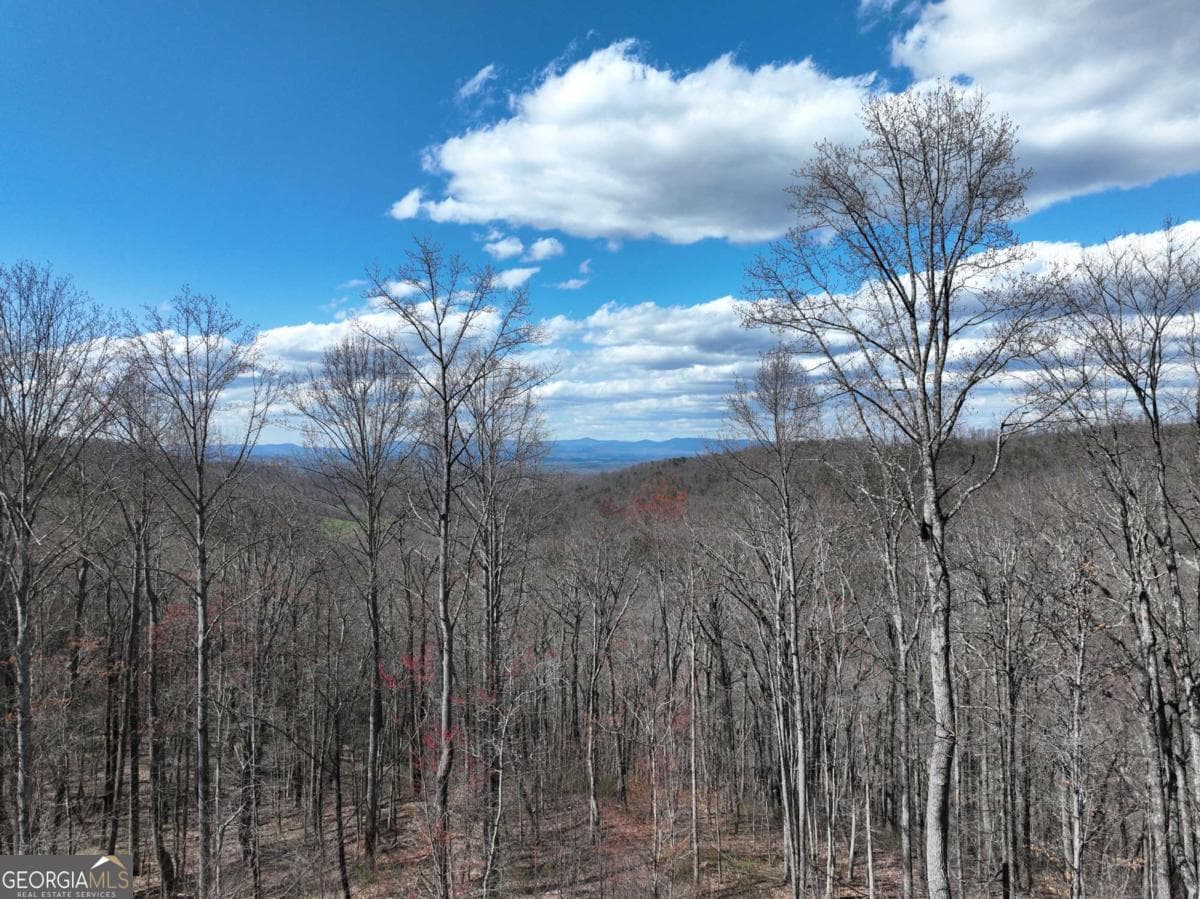 residential lot for sale at 270R Stone Cliff Drive, Ellijay, GA 30536 — photo 1 of 18