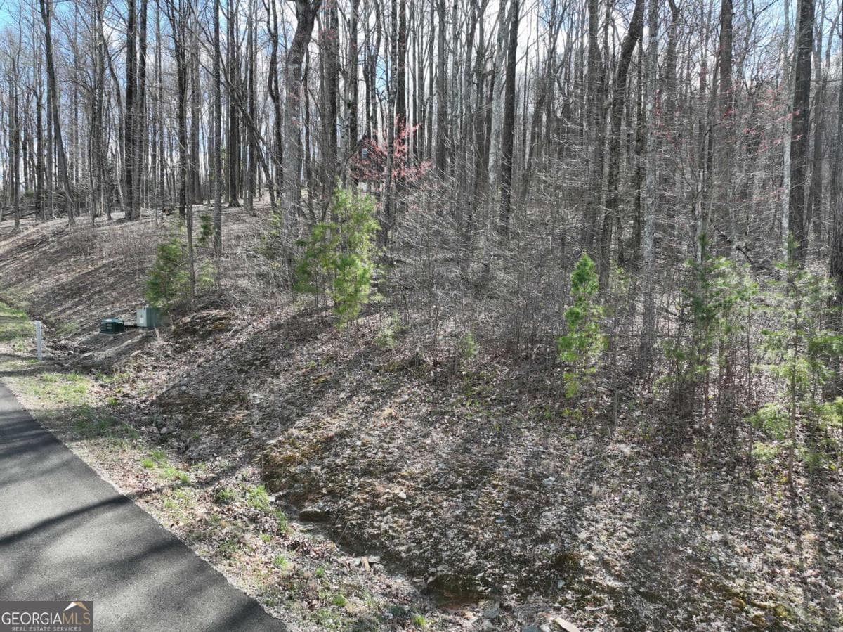 residential lot for sale at 270R Stone Cliff Drive, Ellijay, GA 30536 — photo 5