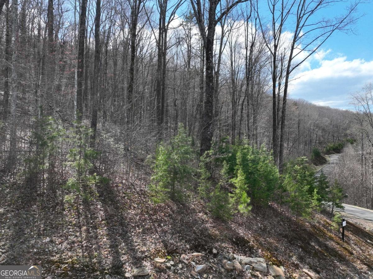 residential lot for sale at 270R Stone Cliff Drive, Ellijay, GA 30536 — photo 9