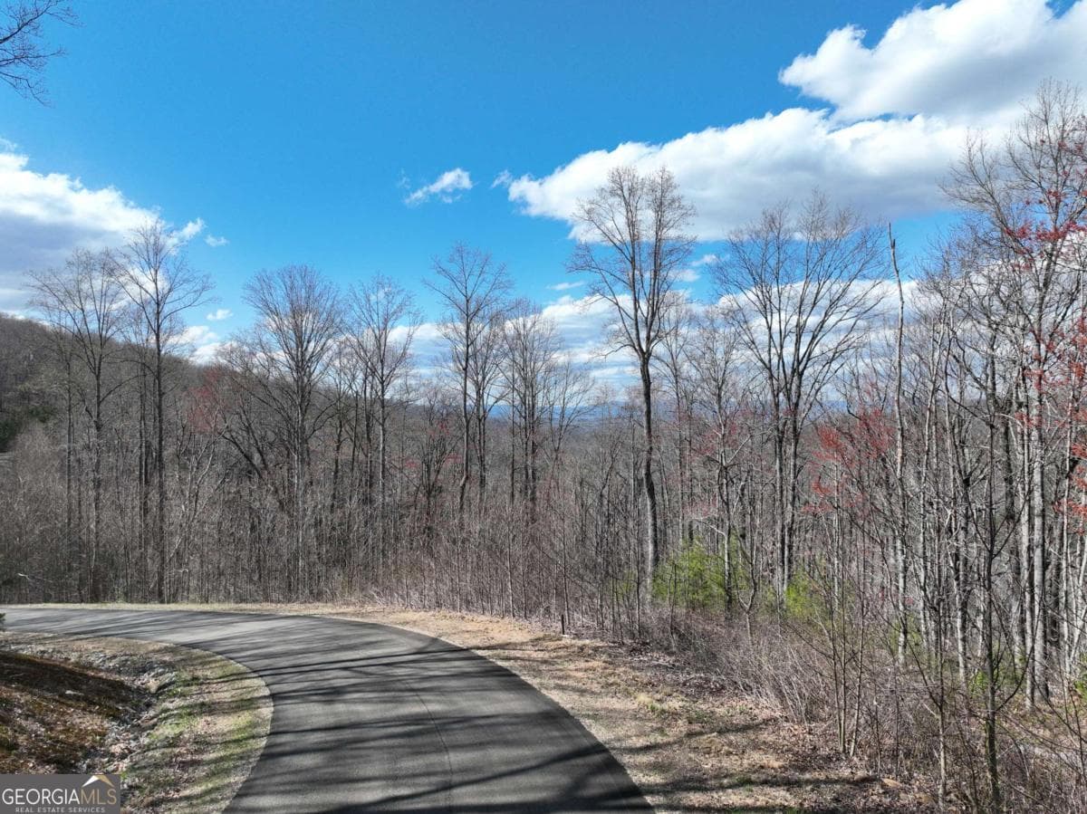 residential lot for sale at 270R Stone Cliff Drive, Ellijay, GA 30536 — photo 10