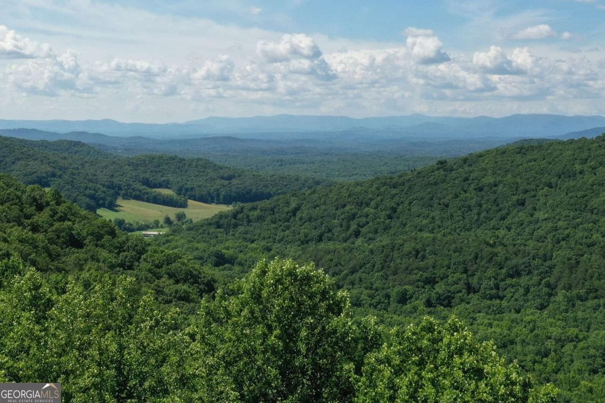 residential lot for sale at 270R Stone Cliff Drive, Ellijay, GA 30536 — photo 4