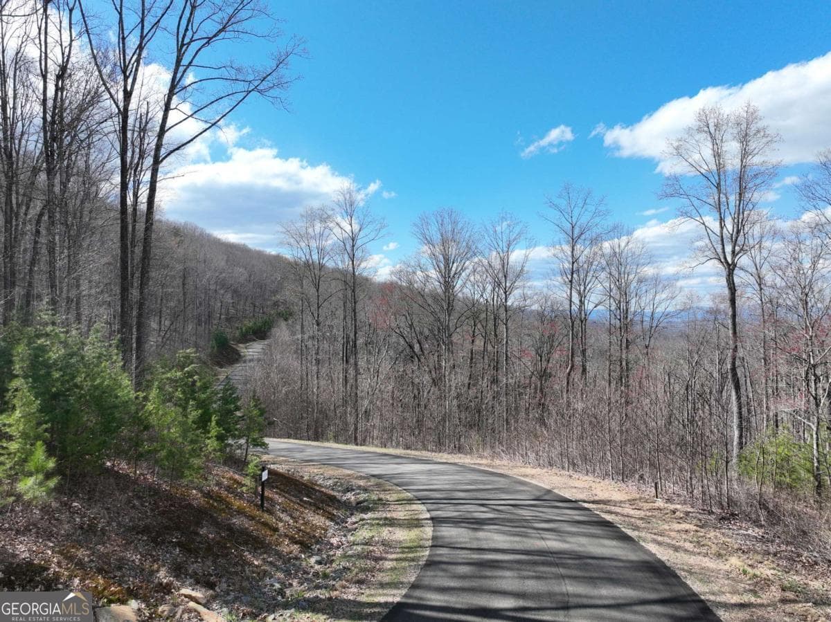 residential lot for sale at 270R Stone Cliff Drive, Ellijay, GA 30536 — photo 8