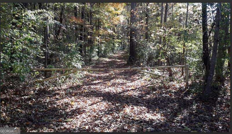 agriculture for sale at 1047 Ponder Trammell Road, Juliette, GA 31046 — photo 2