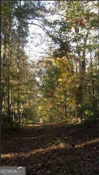 agriculture for sale at 1047 Ponder Trammell Road, Juliette, GA 31046 — photo 3