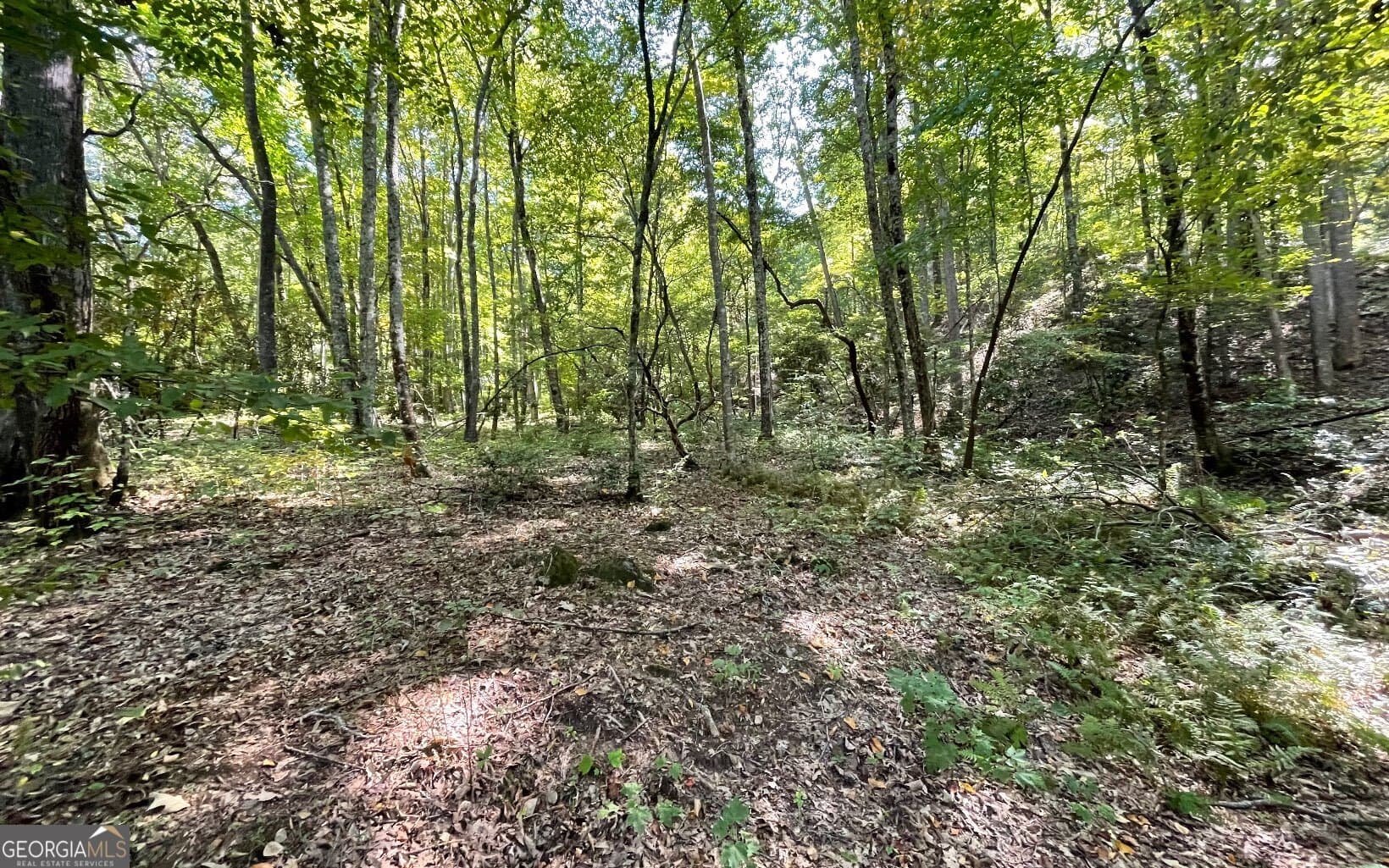 residential lot for sale at LOT 22 High Meadows, Hayesville, NC 28904 — photo 2
