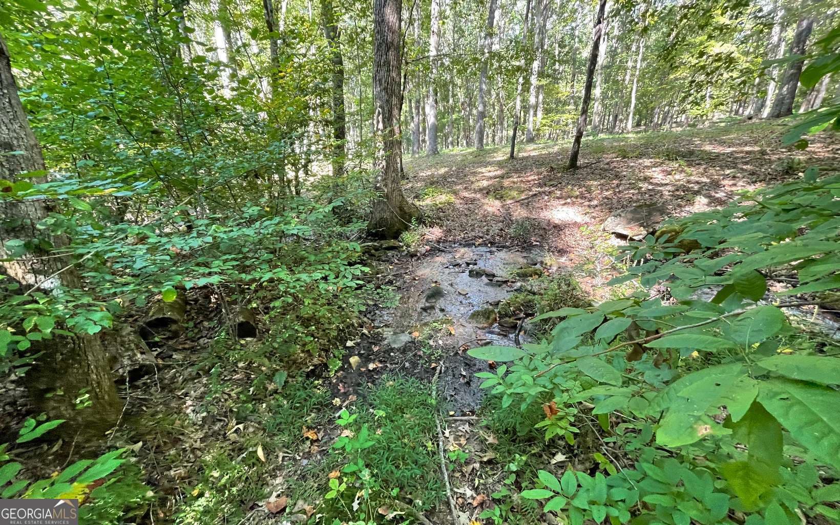residential lot for sale at LOT 22 High Meadows, Hayesville, NC 28904 — photo 6