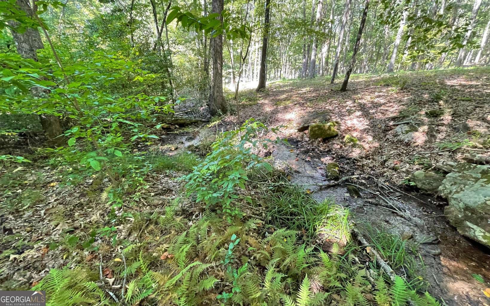 residential lot for sale at LOT 22 High Meadows, Hayesville, NC 28904 — photo 7