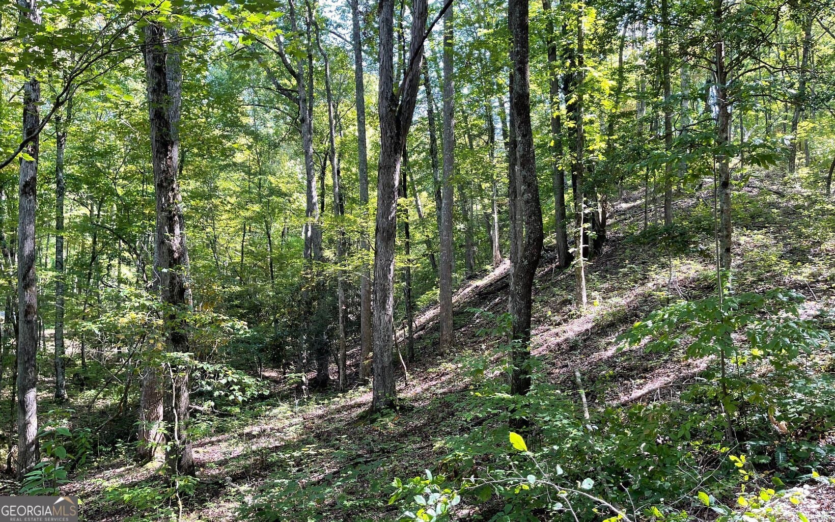 residential lot for sale at LOT 22 High Meadows, Hayesville, NC 28904 — photo 3