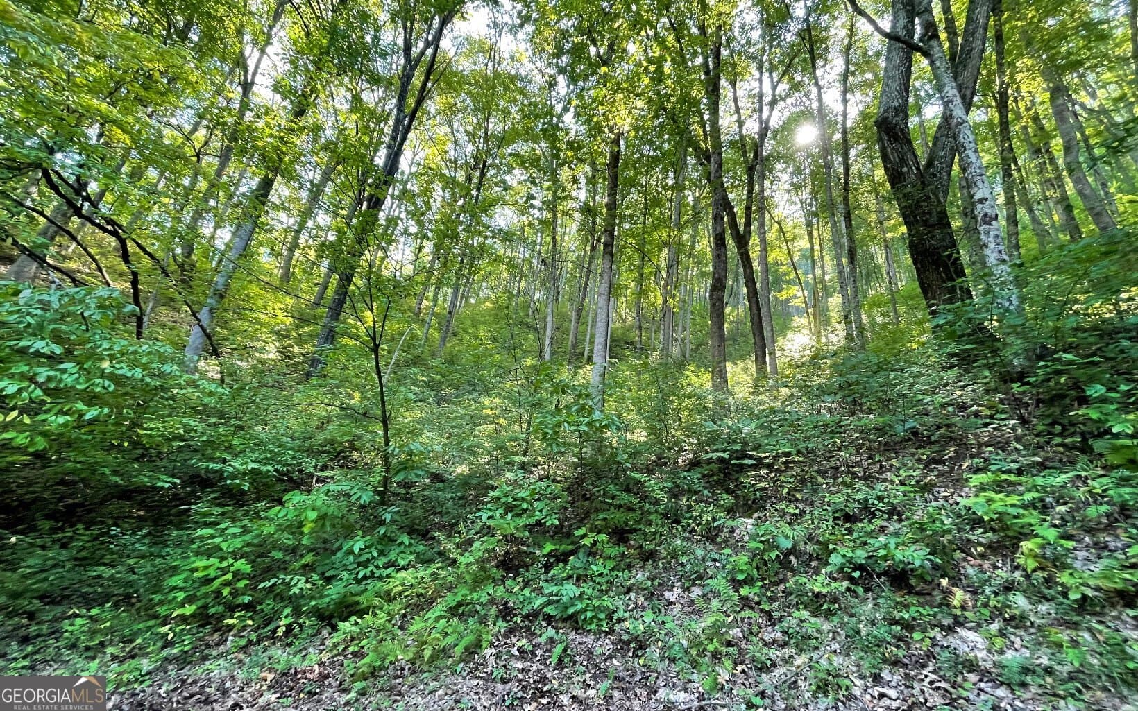 residential lot for sale at LOT 22 High Meadows, Hayesville, NC 28904 — photo 5