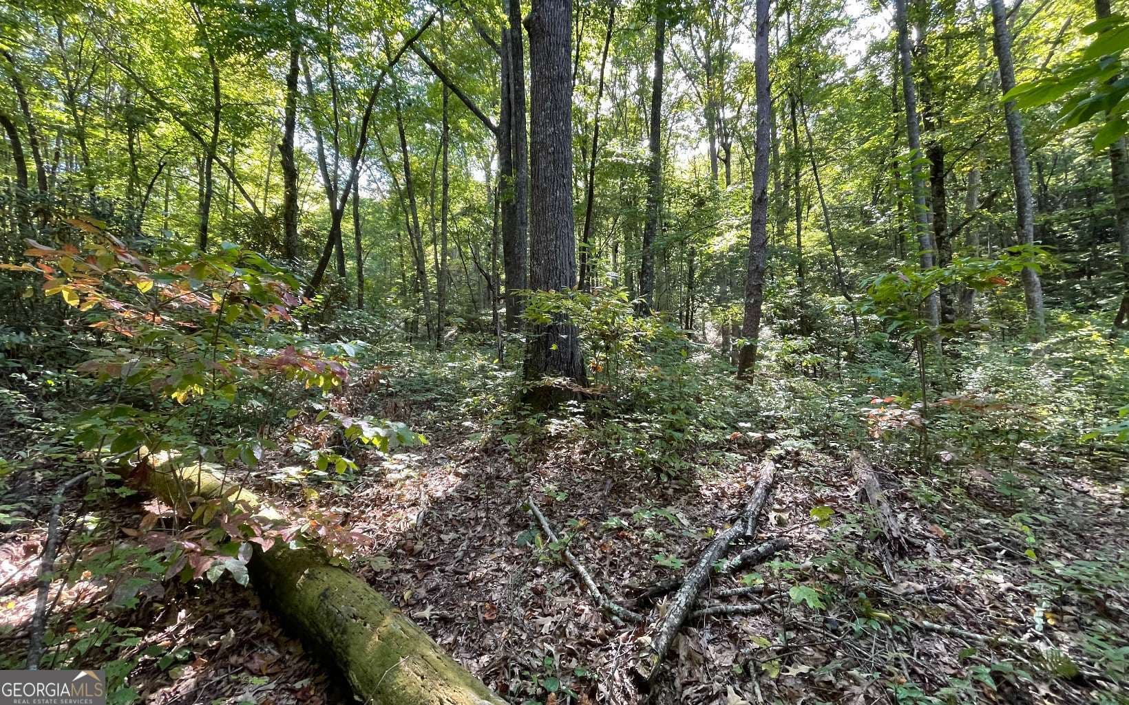 residential lot for sale at LOT 22 High Meadows, Hayesville, NC 28904 — photo 9