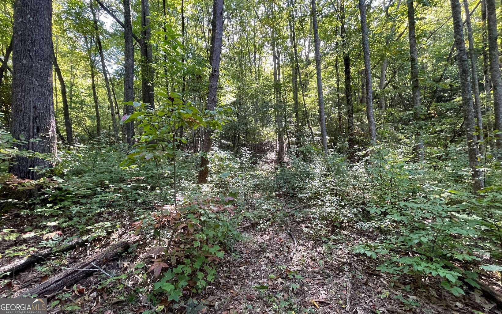 residential lot for sale at LOT 22 High Meadows, Hayesville, NC 28904 — photo 10