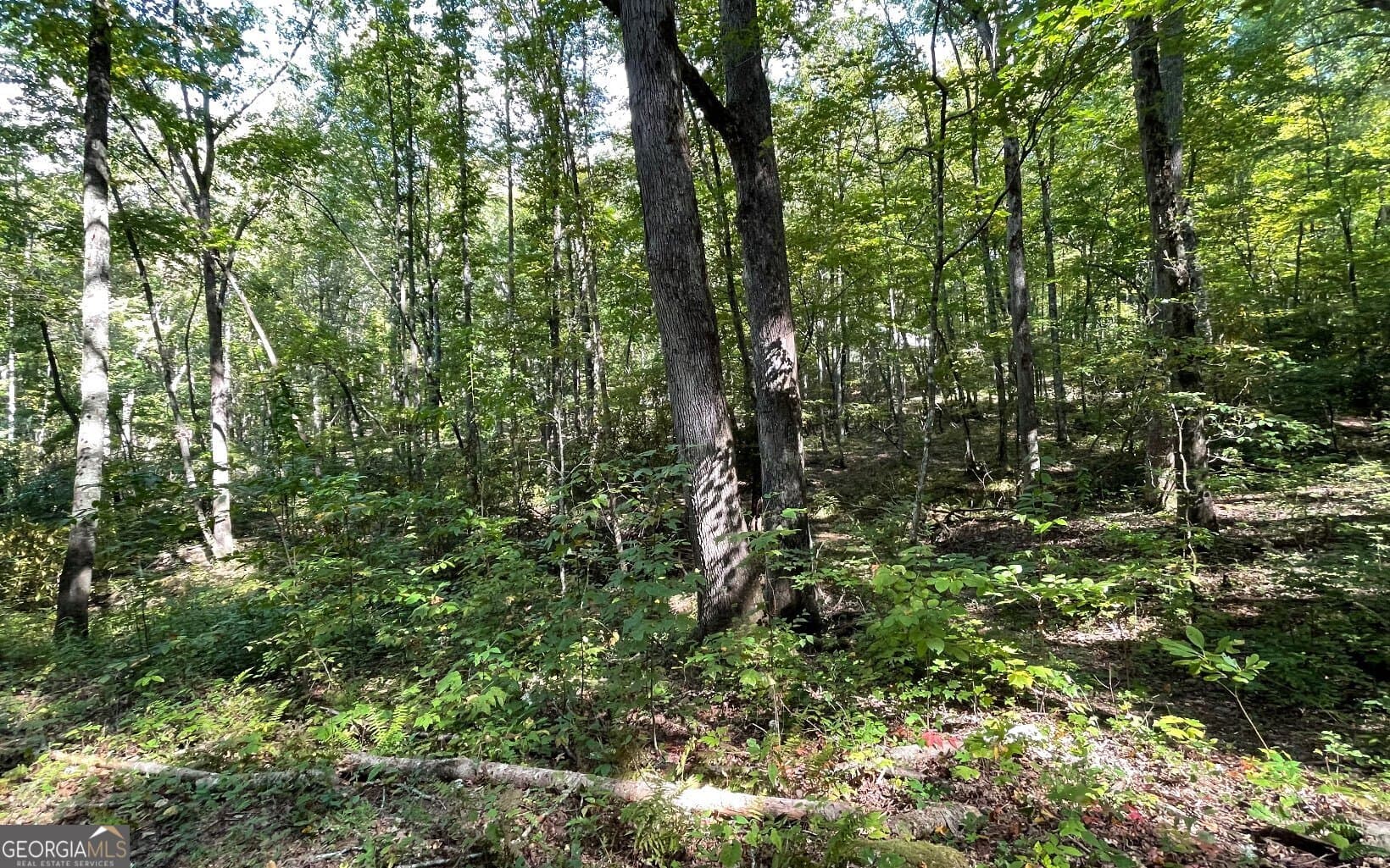 residential lot for sale at LOT 22 High Meadows, Hayesville, NC 28904 — photo 4