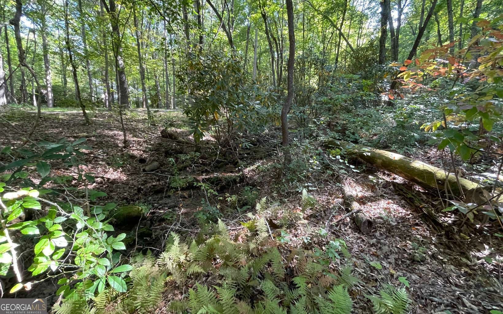 residential lot for sale at LOT 22 High Meadows, Hayesville, NC 28904 — photo 8