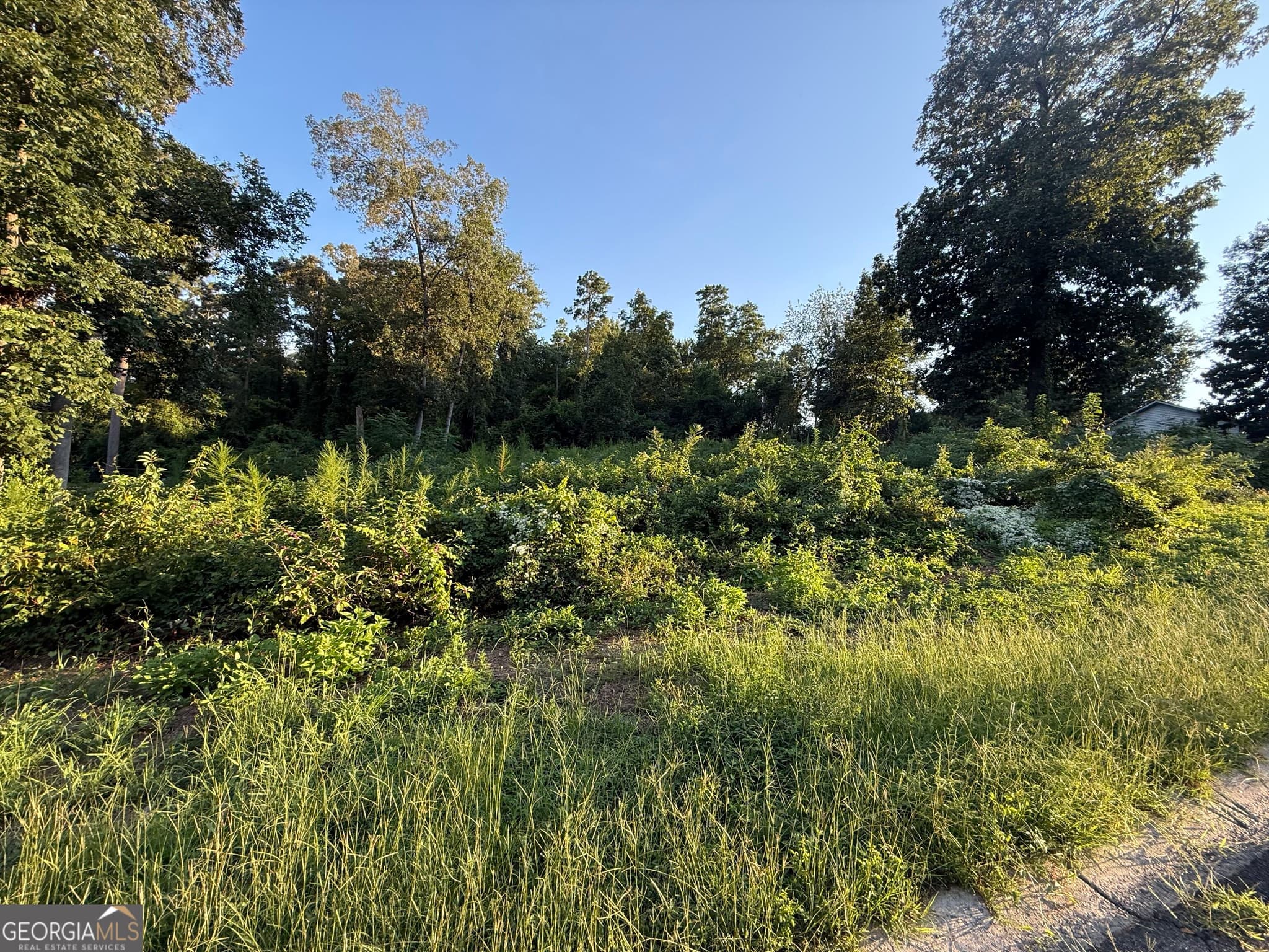 residential lot for sale at 121 Blue Ridge Lane, Warner Robins, GA 31088 — photo 1 of 12