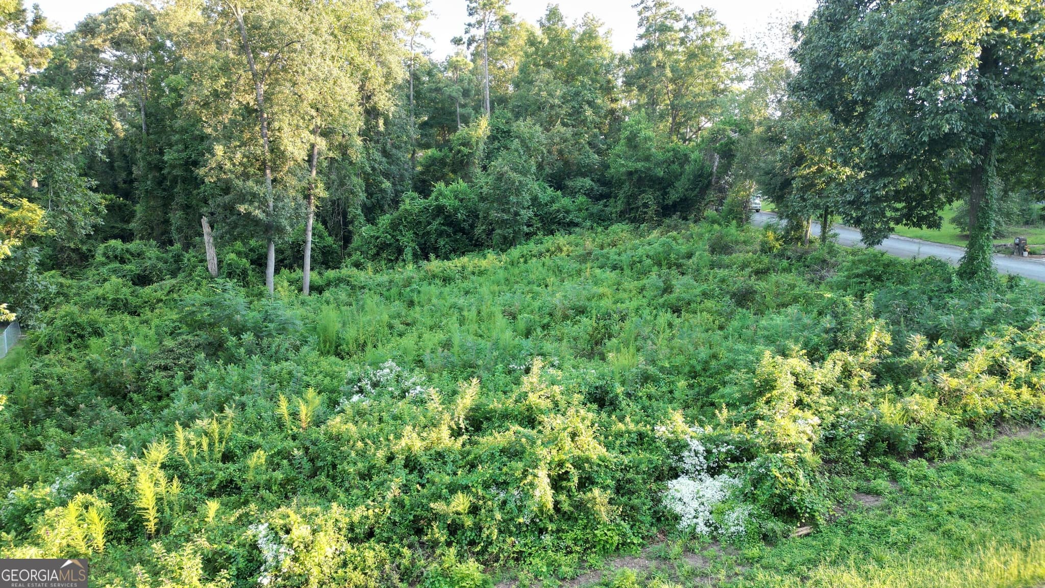 residential lot for sale at 121 Blue Ridge Lane, Warner Robins, GA 31088 — photo 4