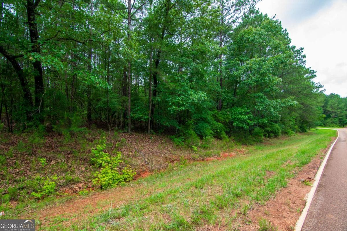 unimproved land for sale at 0 White Road, Pine Mountain, GA 31822 — photo 2