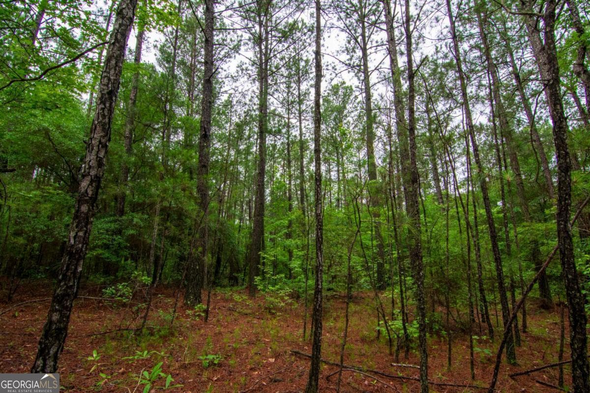 unimproved land for sale at 0 White Road, Pine Mountain, GA 31822 — photo 6