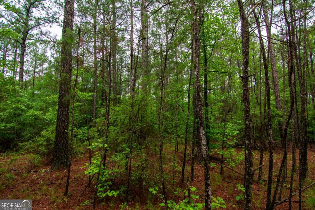 unimproved land for sale at 0 White Road, Pine Mountain, GA 31822 — photo 7