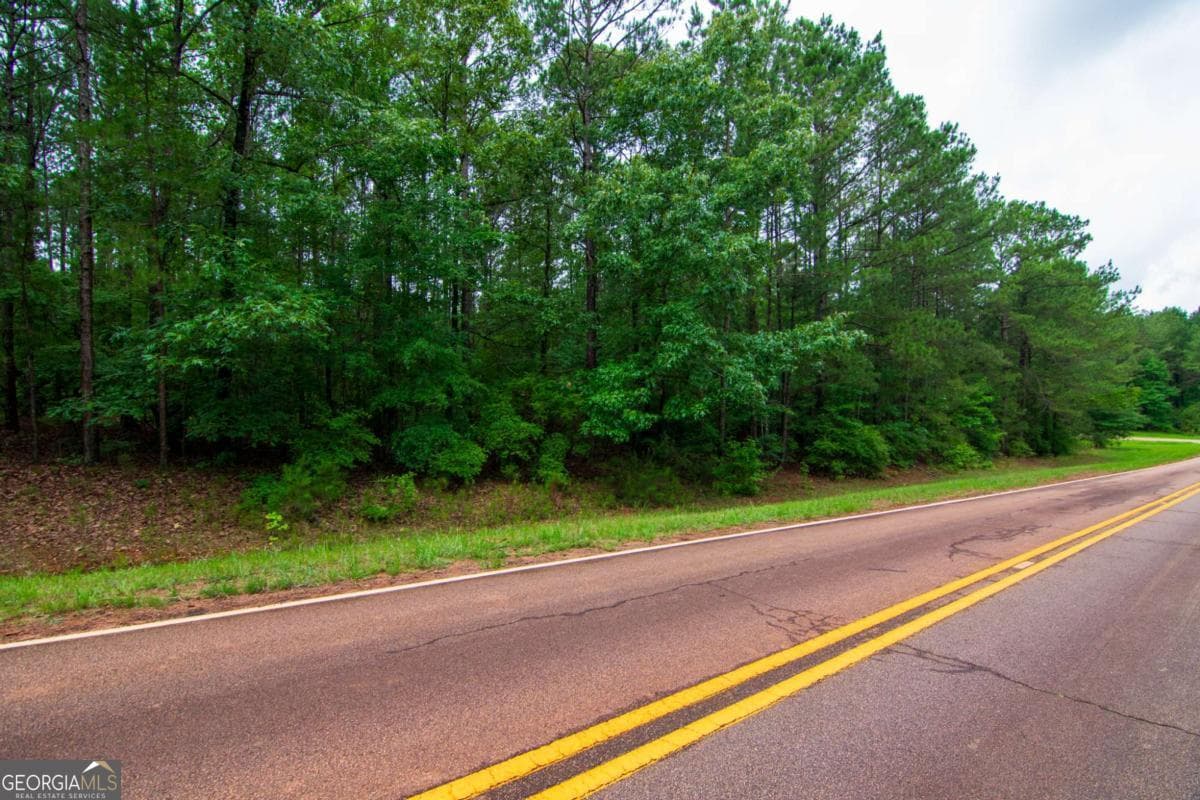 unimproved land for sale at 0 White Road, Pine Mountain, GA 31822 — photo 3