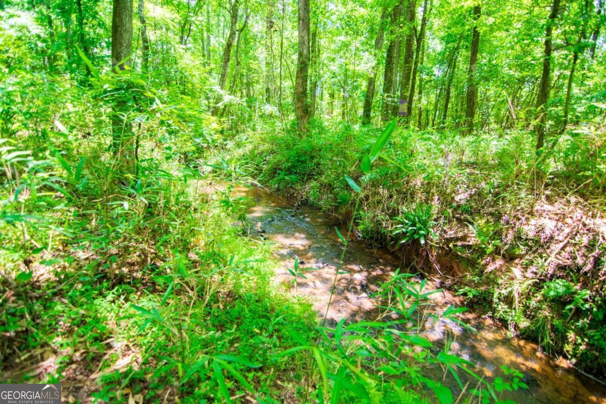 unimproved land for sale at 0 White Road, Pine Mountain, GA 31822 — photo 1 of 22