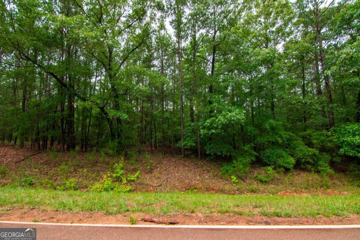 unimproved land for sale at 0 White Road, Pine Mountain, GA 31822 — photo 5