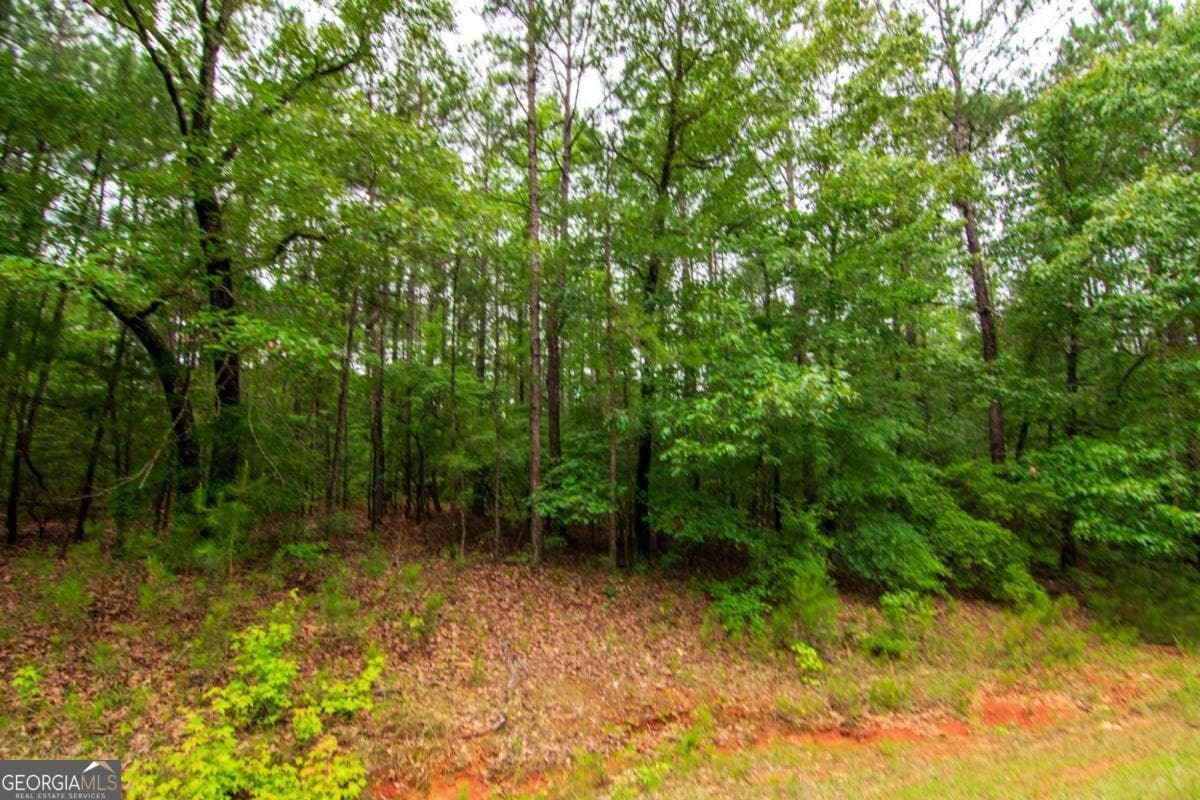 unimproved land for sale at 0 White Road, Pine Mountain, GA 31822 — photo 9