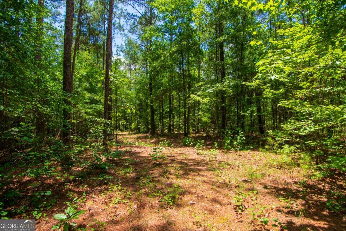 unimproved land for sale at 0 White Road, Pine Mountain, GA 31822 — photo 10