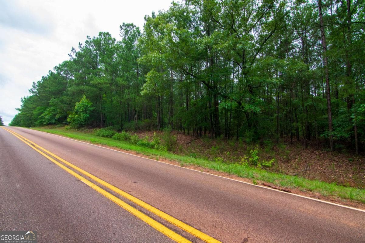 unimproved land for sale at 0 White Road, Pine Mountain, GA 31822 — photo 4