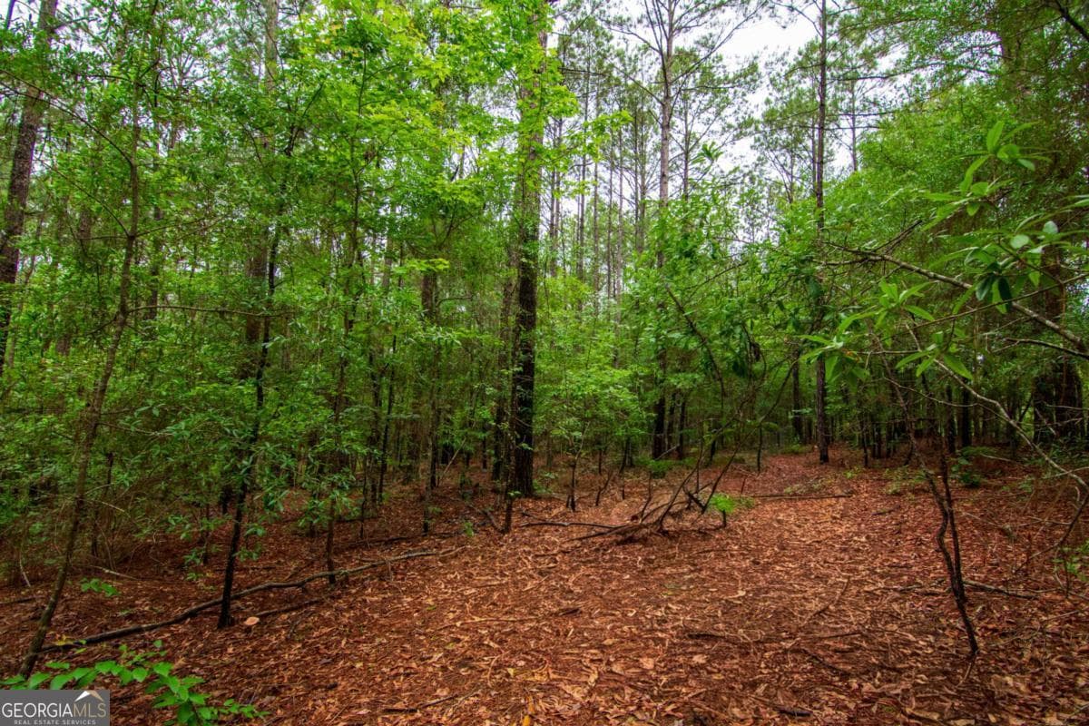 unimproved land for sale at 0 White Road, Pine Mountain, GA 31822 — photo 8