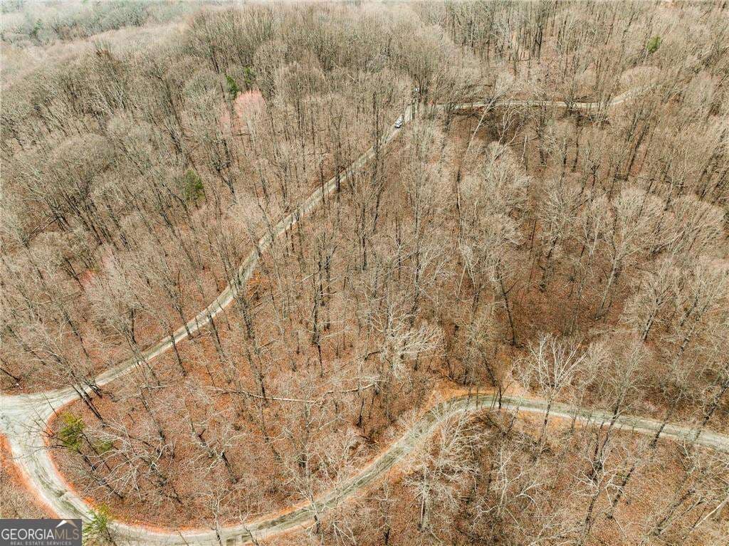 residential lot for sale at LOT 4 Mount Mincie Road, Murrayville, GA 30564 — photo 6